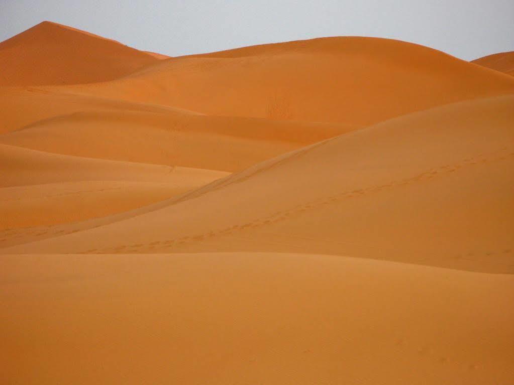 Maison Hassan Merzouga Eksteriør bilde